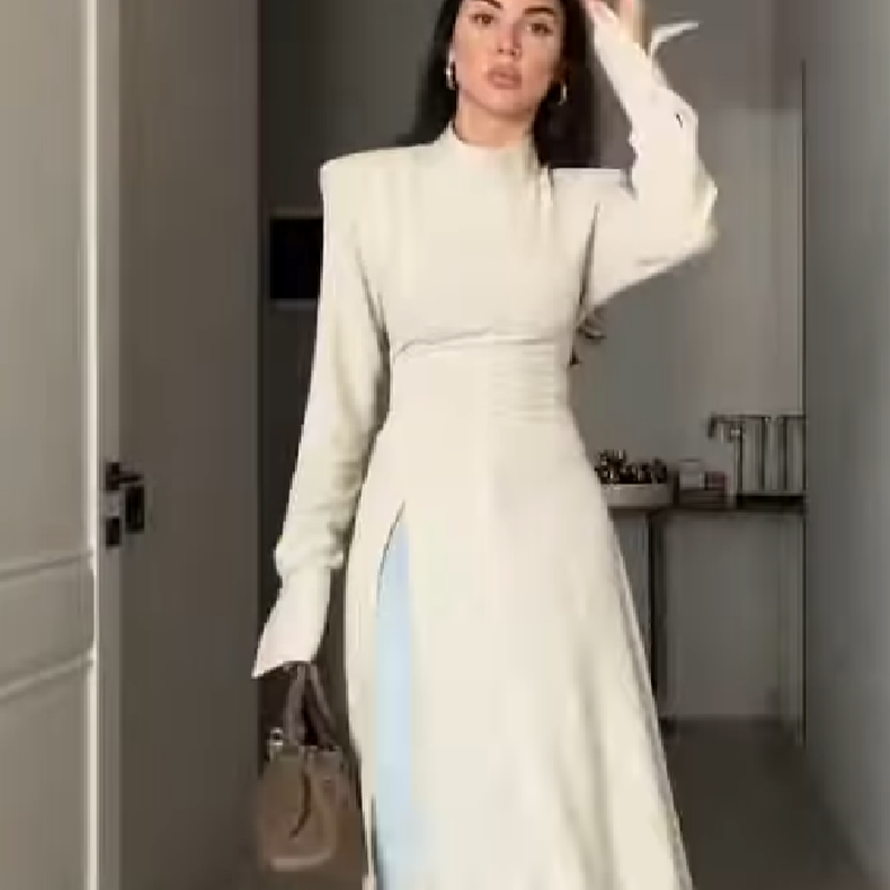 Women Formal Wear Office - فستان نسائي أنيق طويل الأكمام بياقة